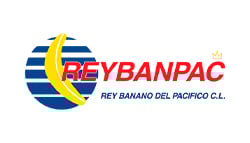 REYBANPAC